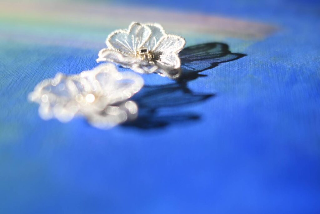 nyahmullkroppe×gin-eni no hana。