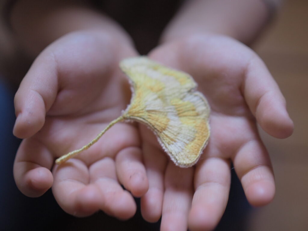イチョウを持つコビトの手