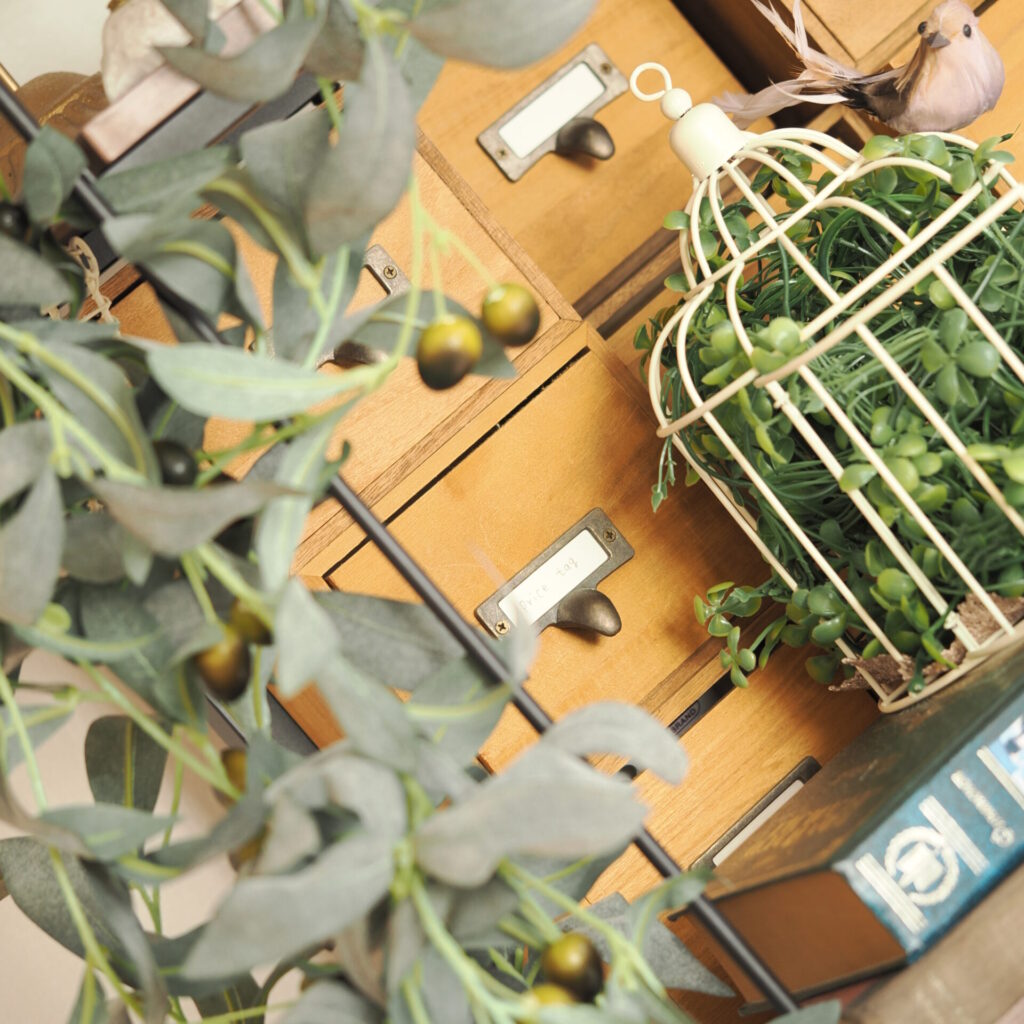 atelierの景色。アンティークな薬箪笥×鳥かご×オリーブの葉。