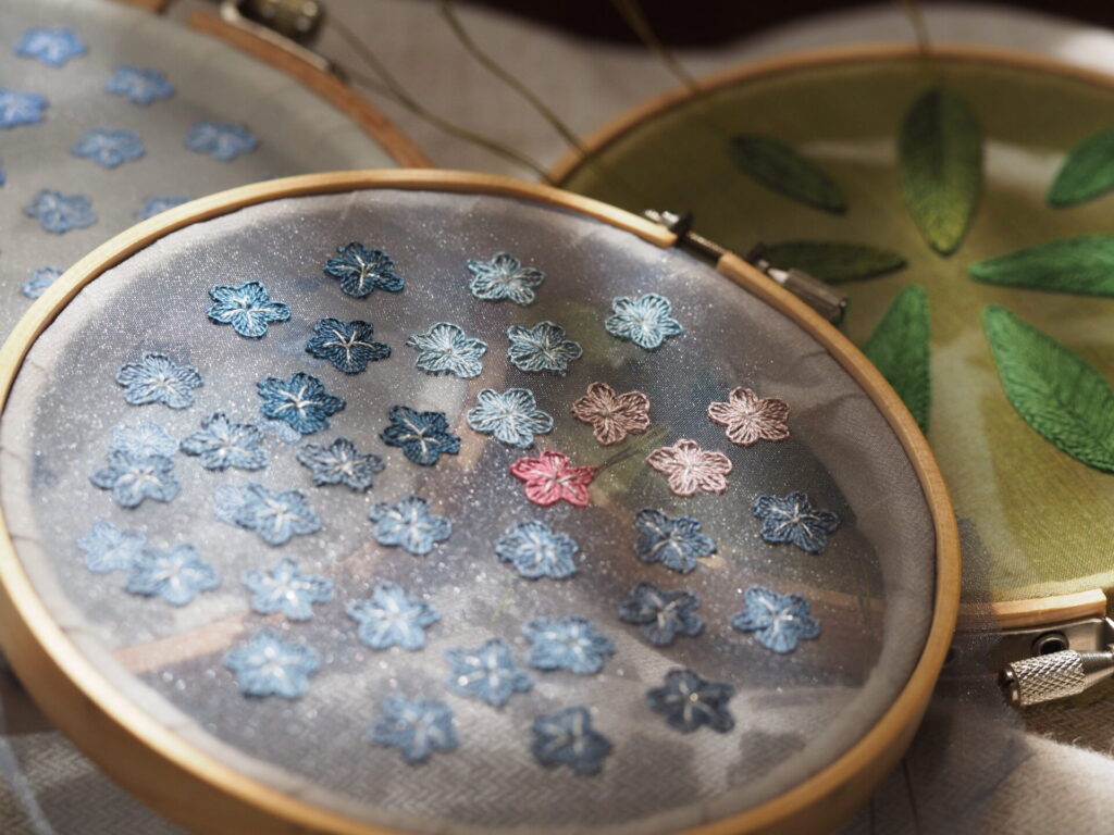 平面に咲き途中の勿忘草。