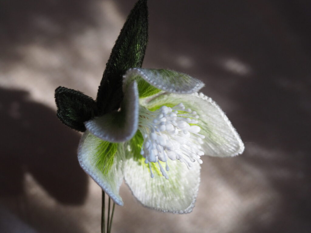 俯きがちに咲く花。