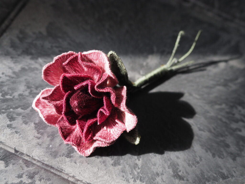 静かな光の中に咲く、Roseni。