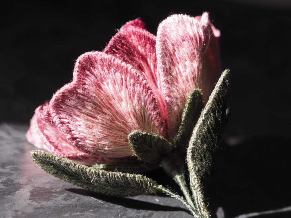 裏側まで美しく咲く、Roseni。