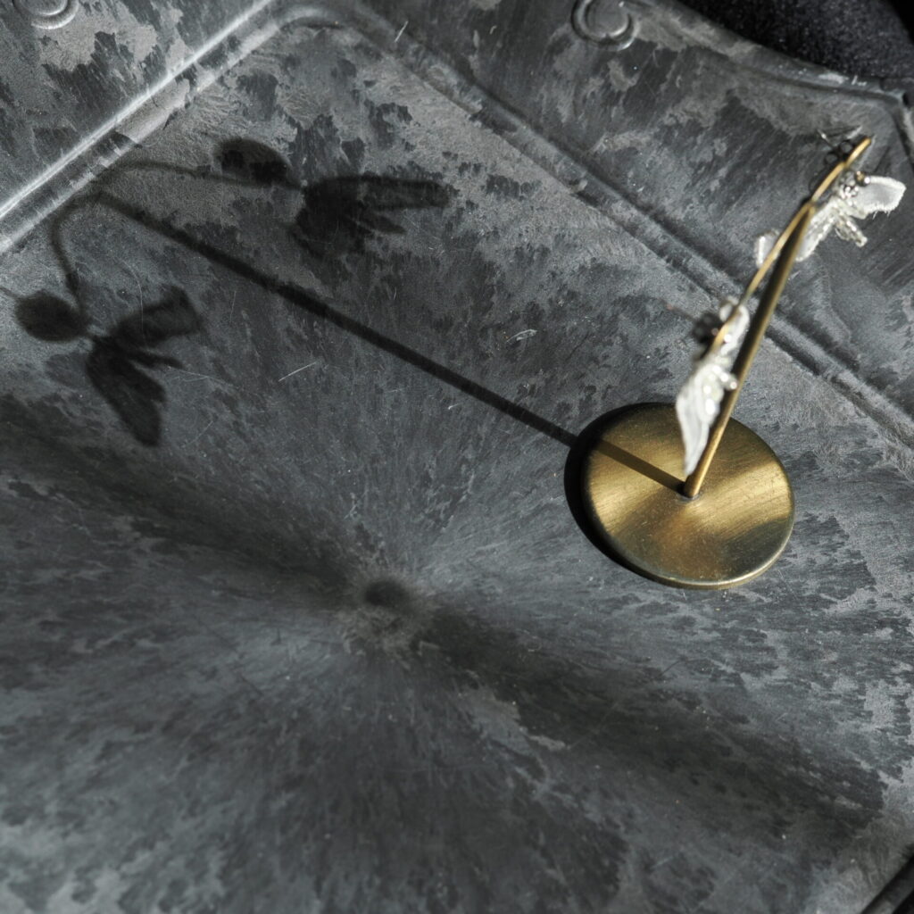 影まで美しいgin-hare。