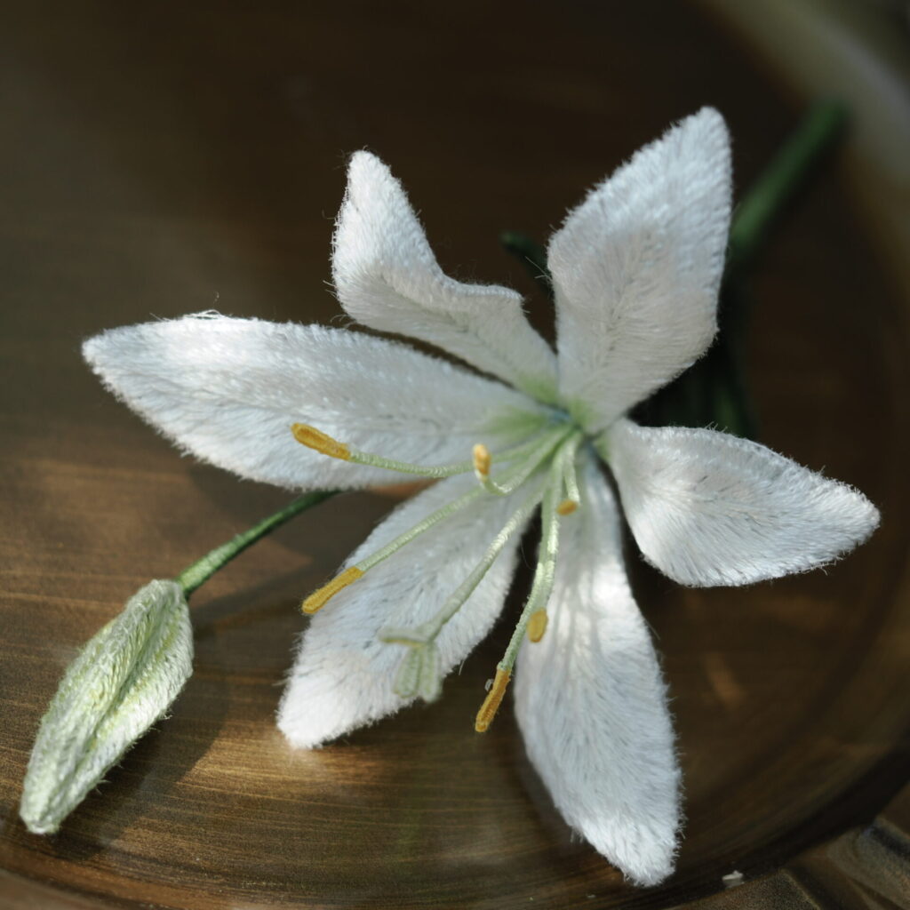光と影のlily。